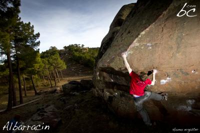 Paul working on "Homo ergaster"